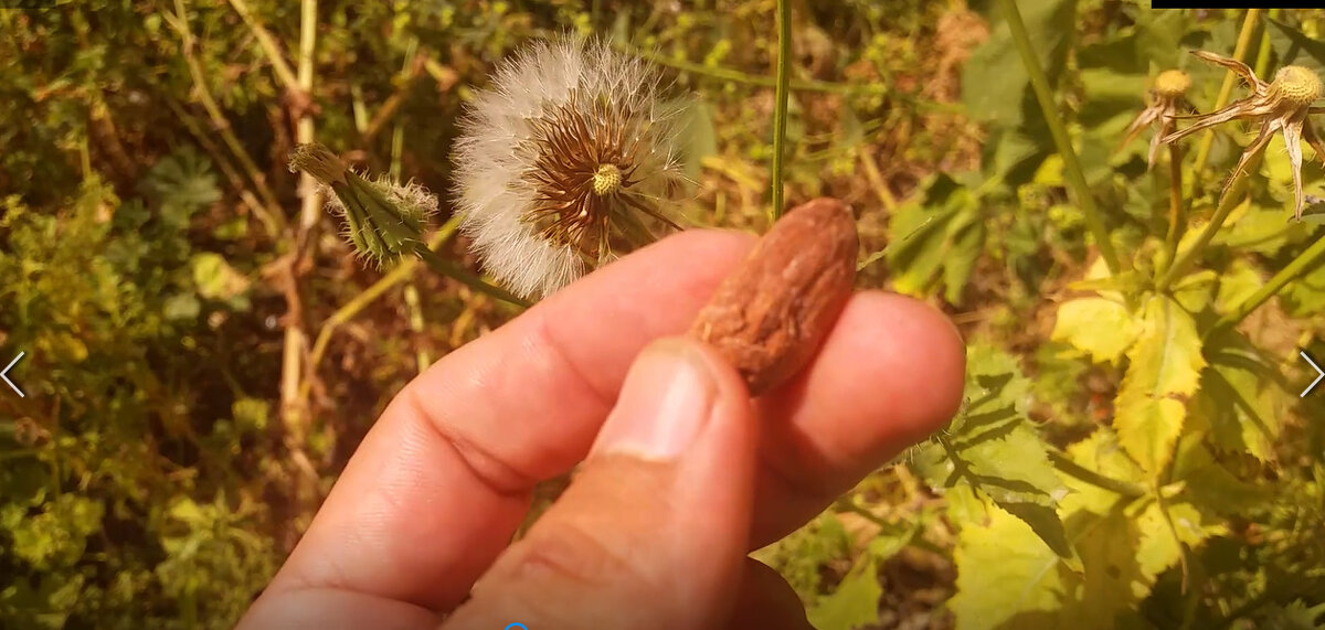 13  ОПЕН (880) - OPEN WAYS ALL