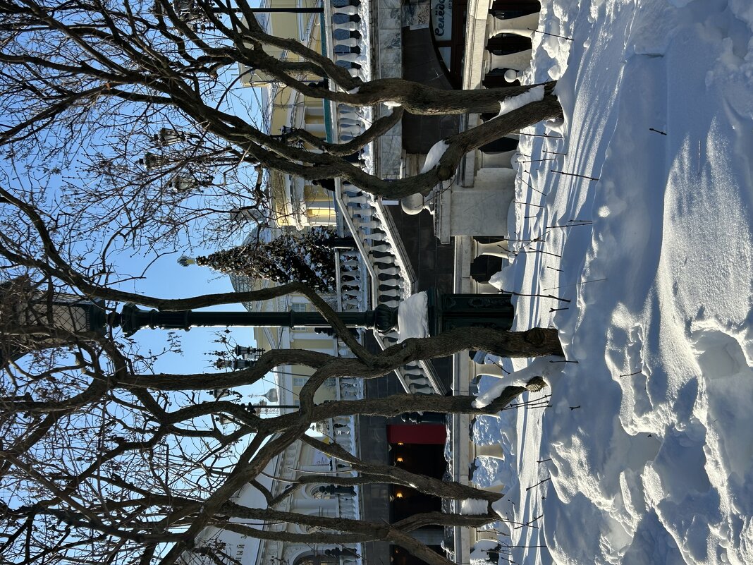 Александровский сад - Натали 