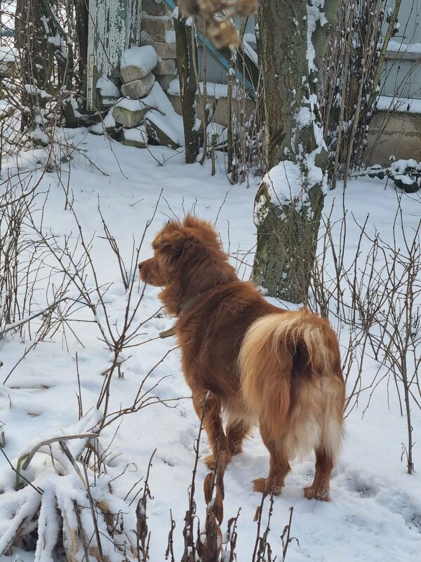 Весь день начеку - Наталья 