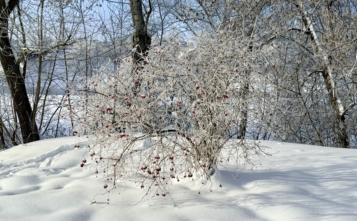 «Серебренная вуаль зимы» - Арина Невская