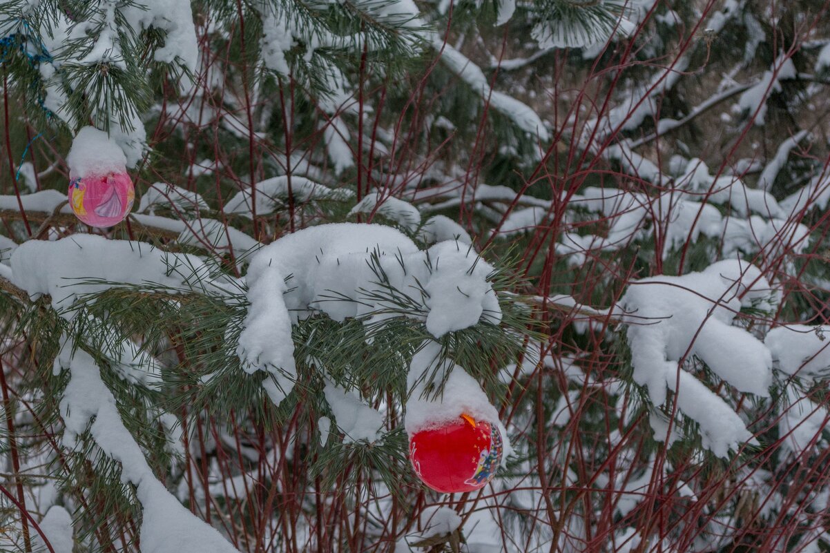 Вспоминая зимний праздник - Владимир Жуков
