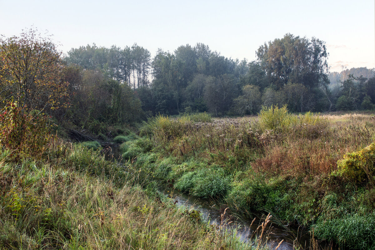 Река Колочь. - Александр. AVG100 ---