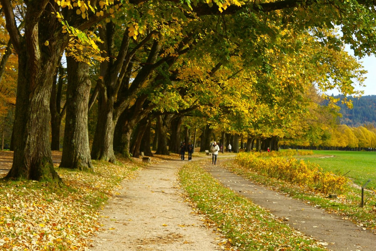 Баден-Баден,осень - Юрий. Шмаков Баден-Баден,осень - Юрий. Шмаков