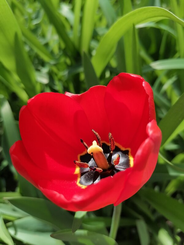 ,,, - Сергей Тимоновский