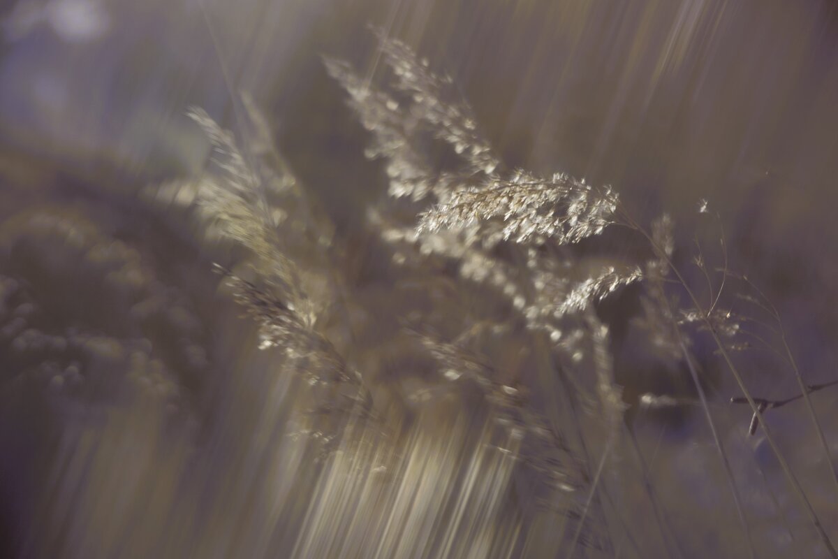 C ветром февраля - liudmila drake