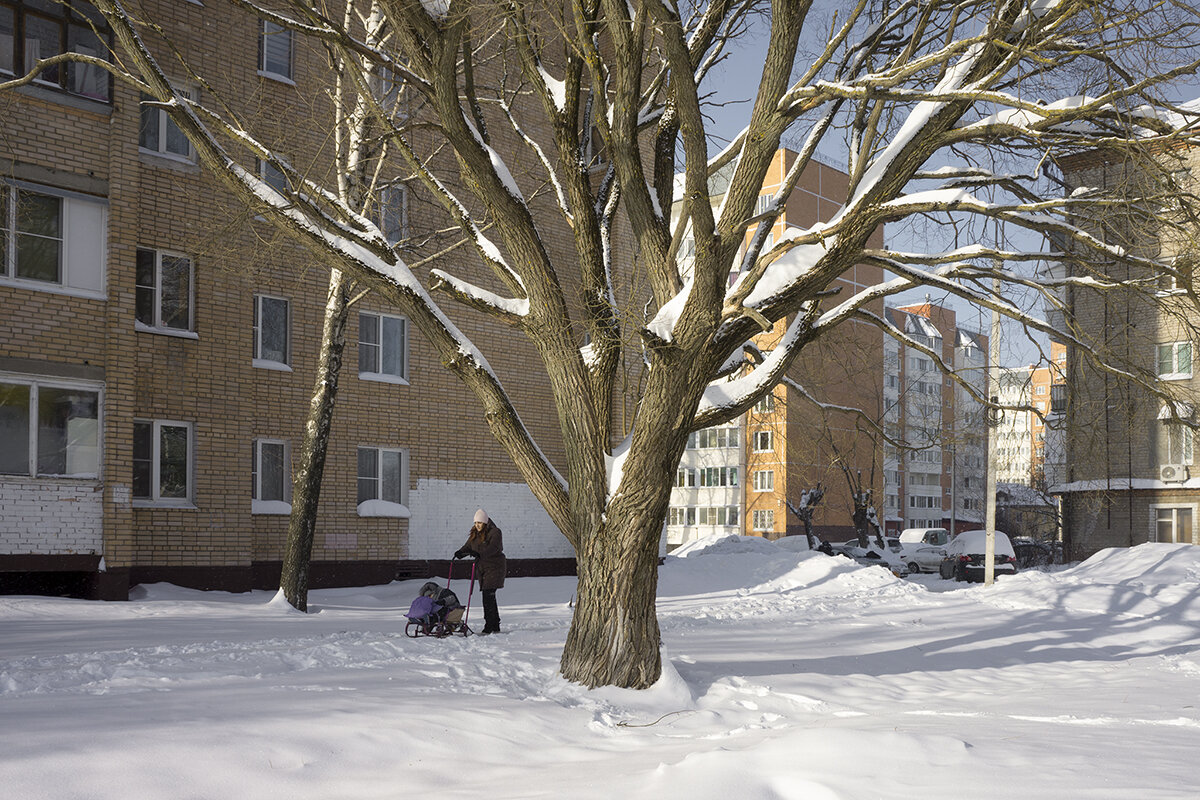 Без названия - Владимир Носов