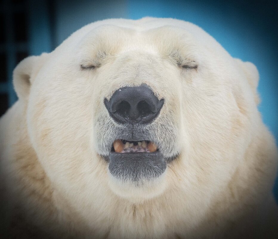 КАЙ - Аркадий Лаптенко