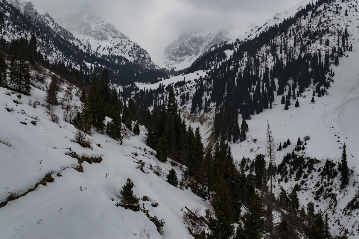 Хмурый перевал - LudMila 