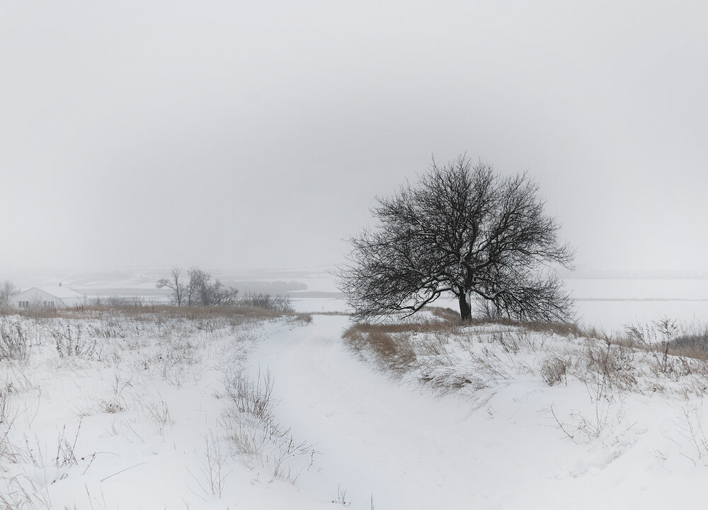 Зимнее безмолвие - Ирина 