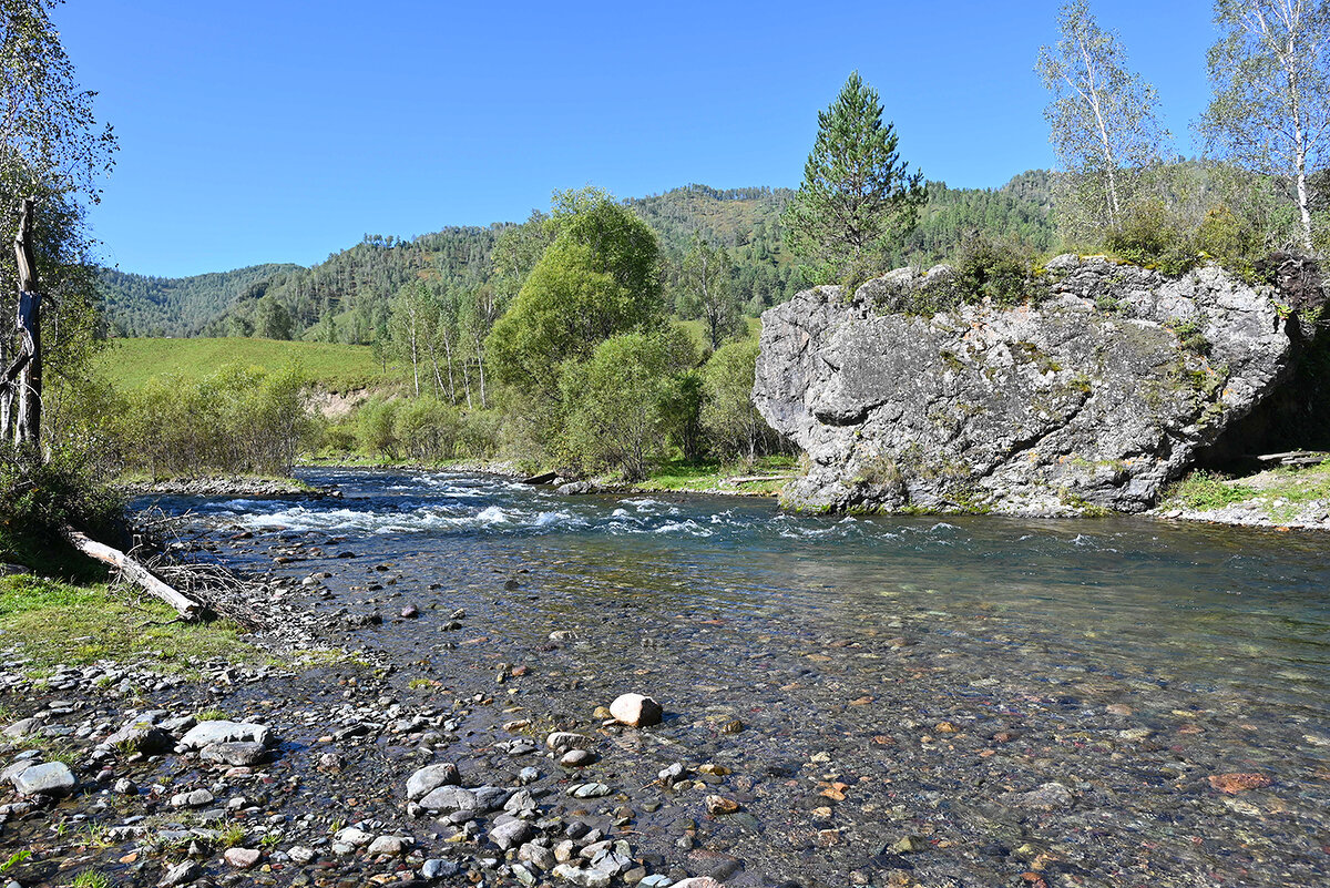 По р.Чемал - Валерий Медведев