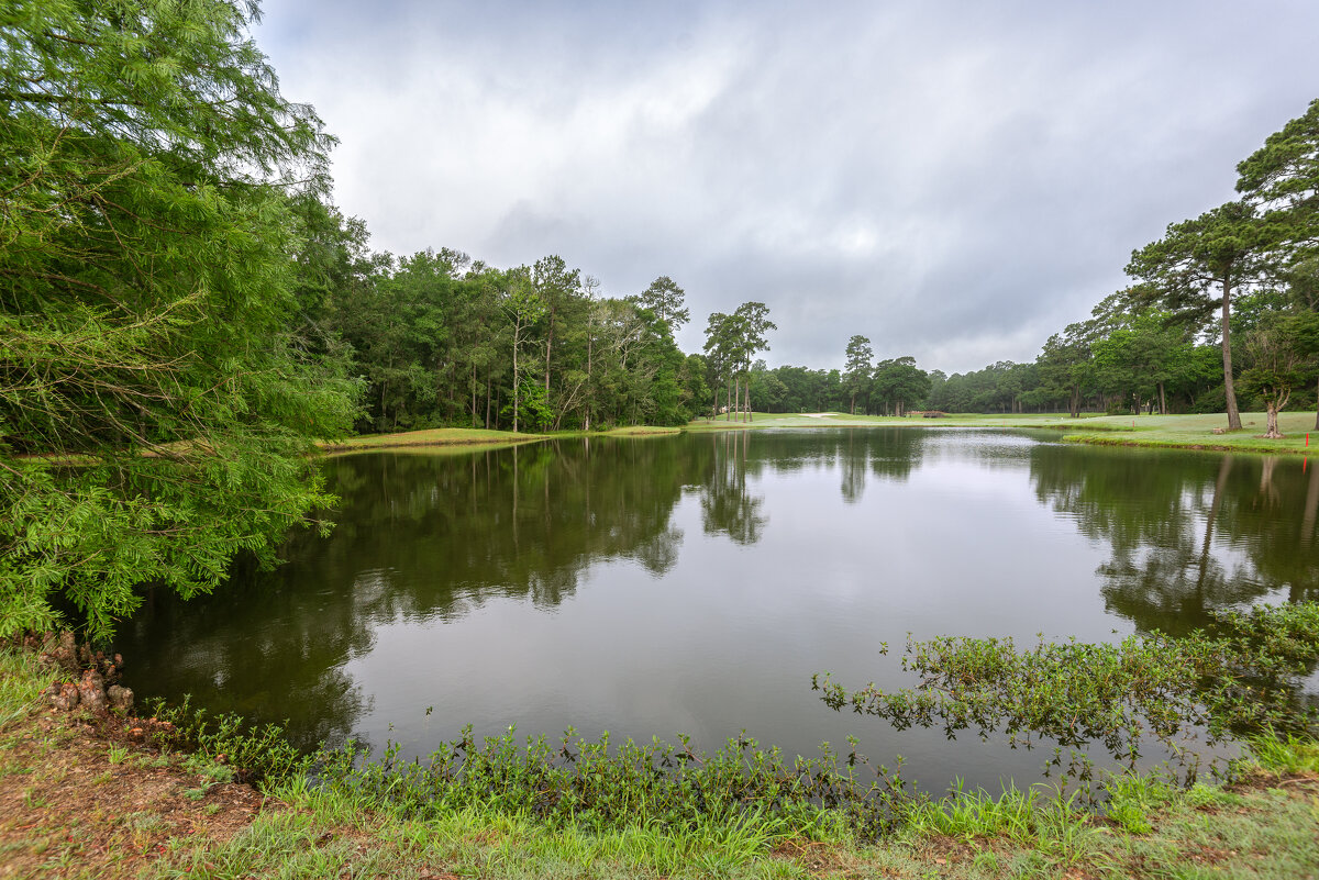 Весеннее утро - **** vedin
