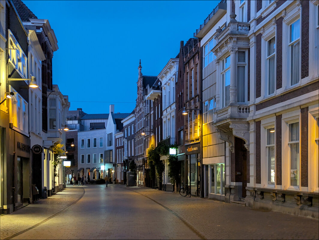 Вечер в Бреда - Валерий Готлиб