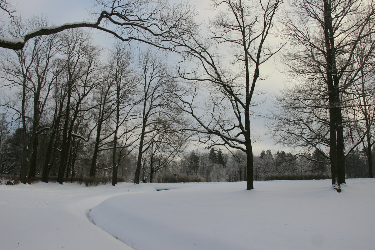Парк Александрия - Наталья Герасимова