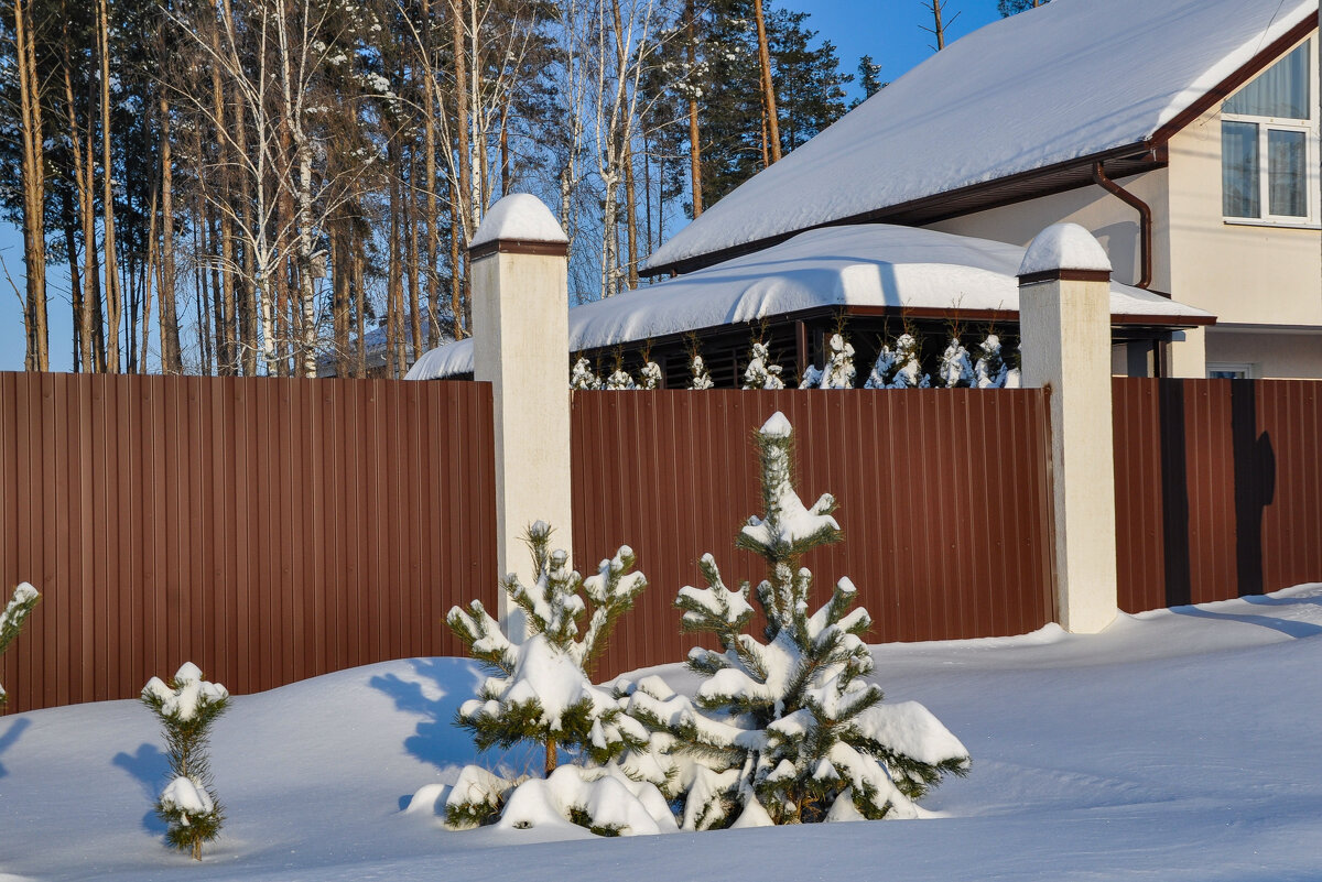 Всё укутано снегами - Татьяна Машошина