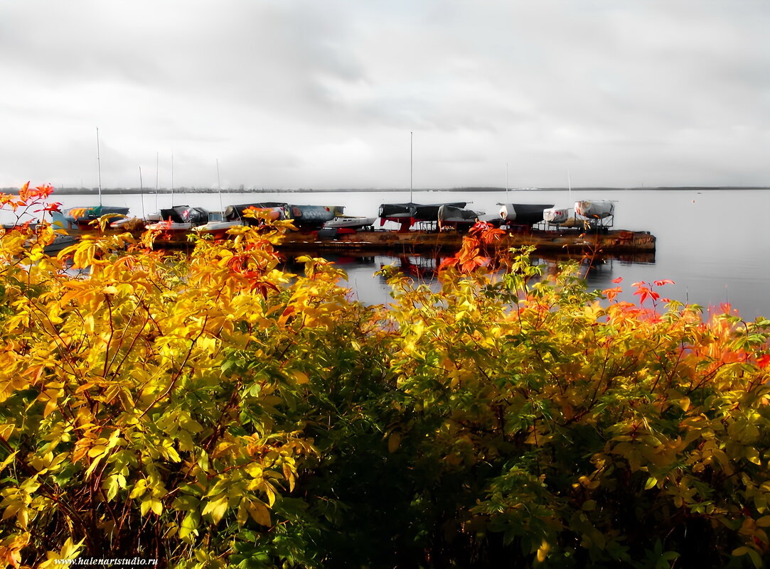 Яхточки - Игорь Корф