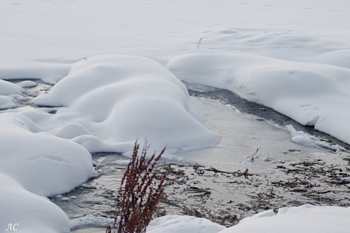 Полынья - Любовь Сахарова