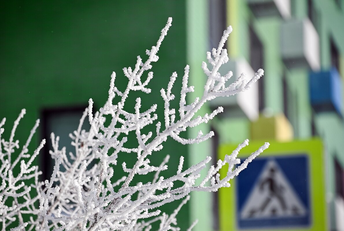 Февраль - Валерий Иванович