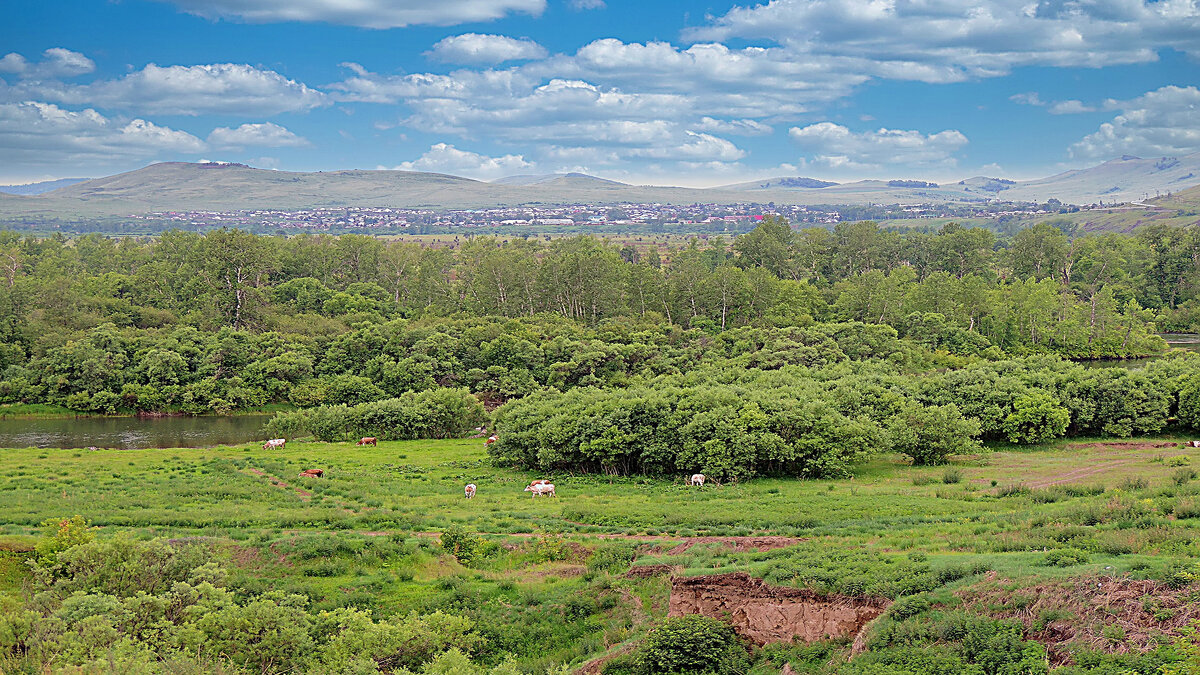 Холмистые пейзажи Хакасии - Владимир Кириченко