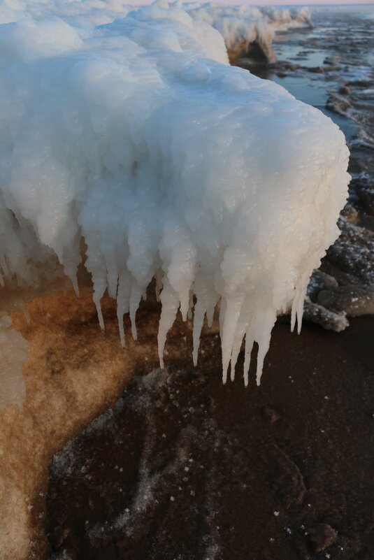 У Белого моря - Ольга 