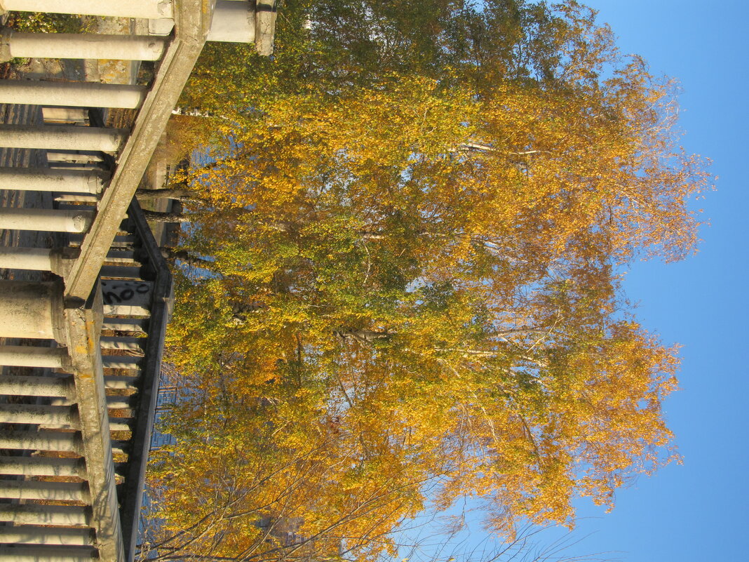 на набережной - Елена Шаламова