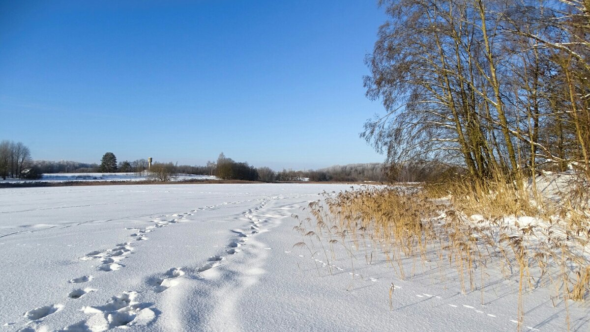 Наследили рыбаки. - Милешкин Владимир Алексеевич 