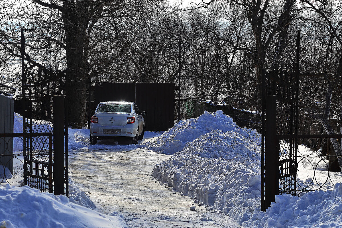 Зимует - Юрий Гайворонскiий