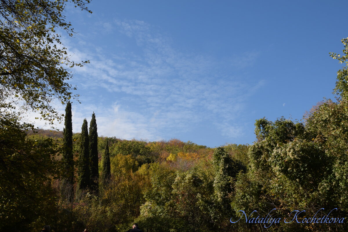 Природа Крыма - Amazing Cosmea
