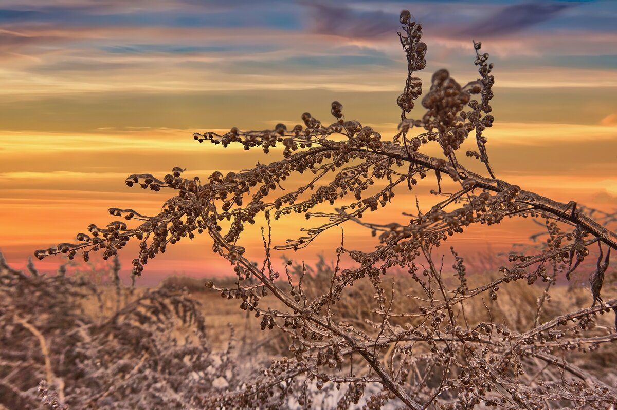 В ледяном плену ... - Ravile 