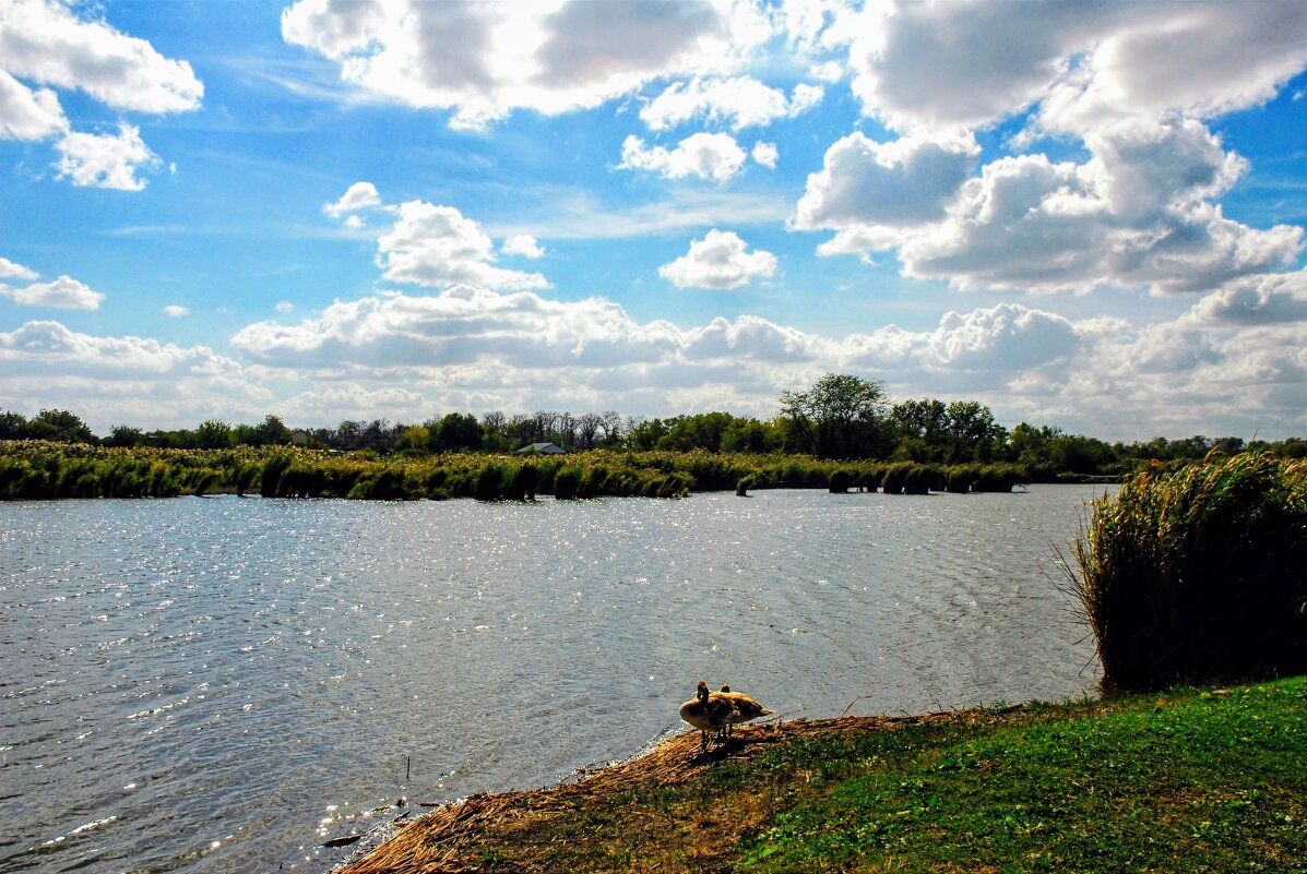 Лето. - Владимир 