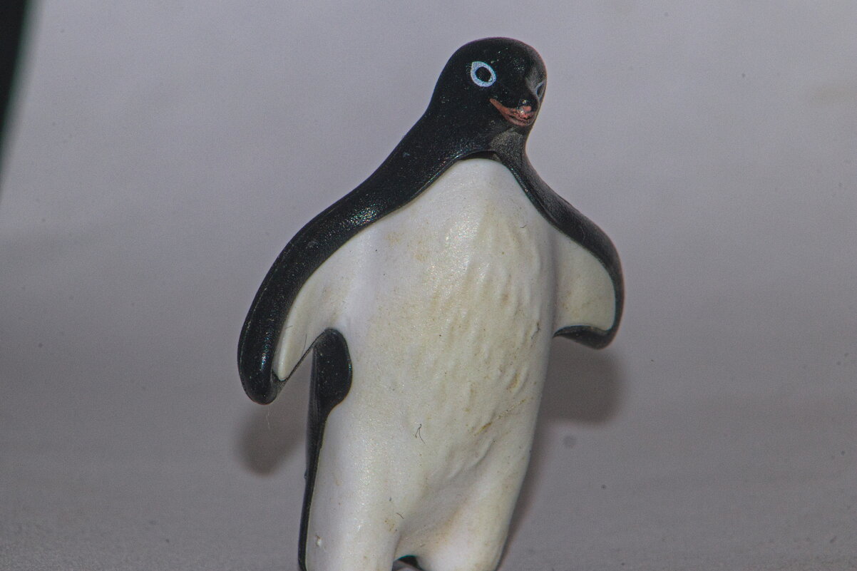 Пингвин ... - Giant Tao /