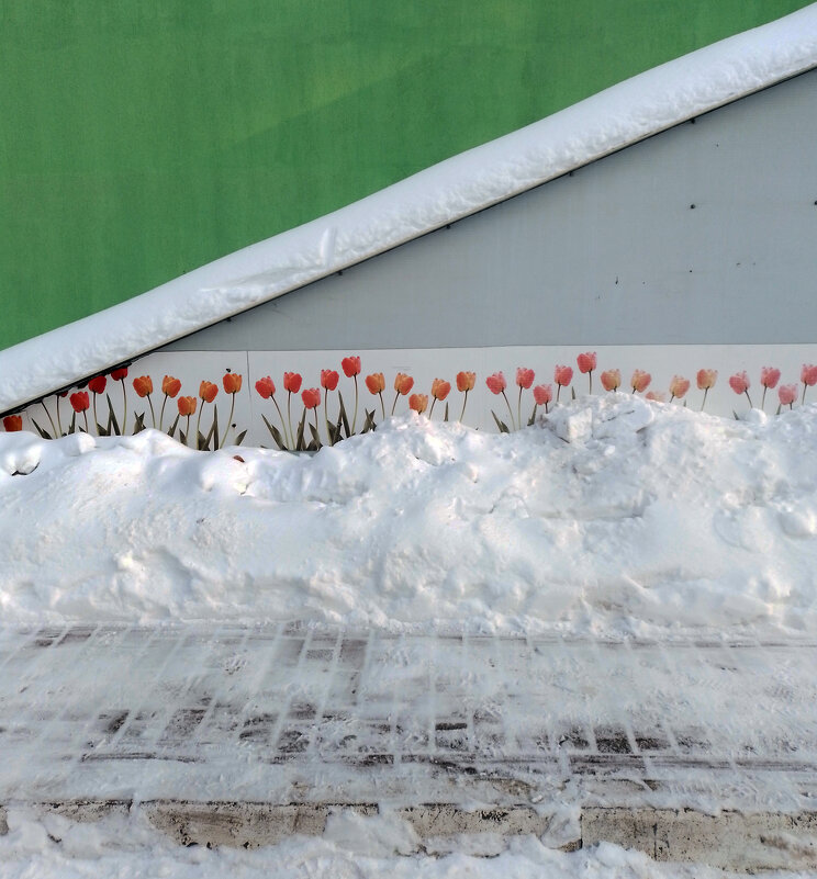 *** - Валентина Береснева