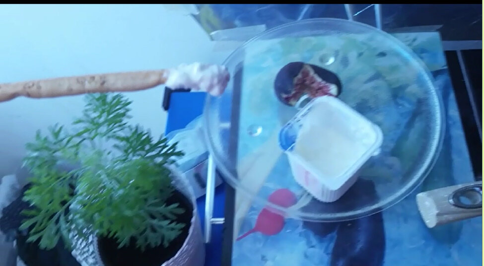 115 (111) - CLOSE WAYS ALL