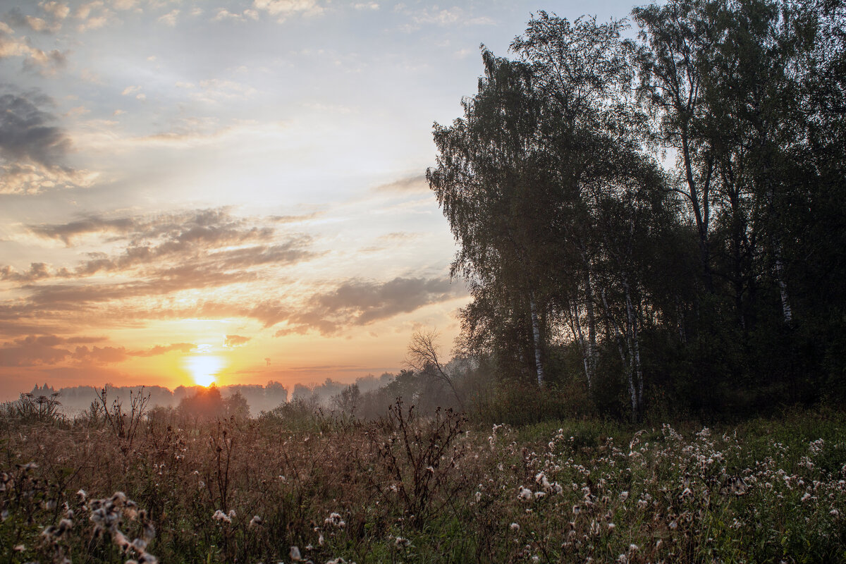 Утро. - Александр. AVG100 ---