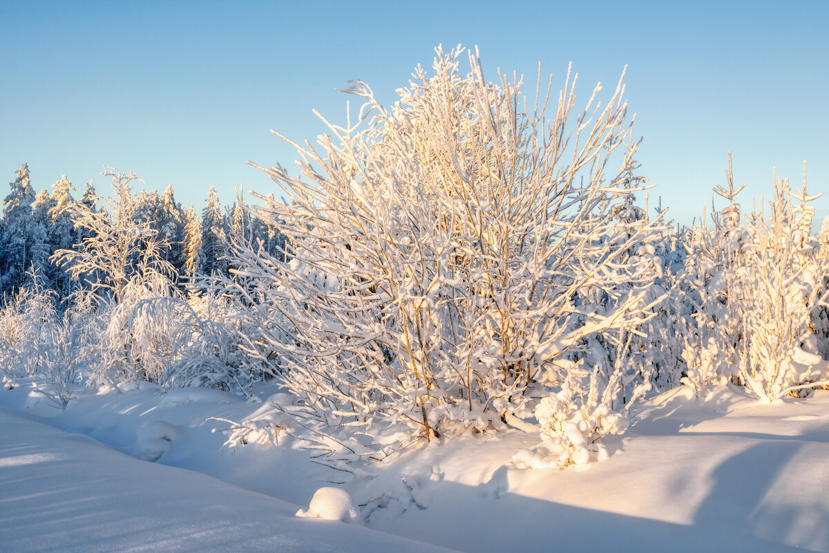 Зима - Владимир Колесников