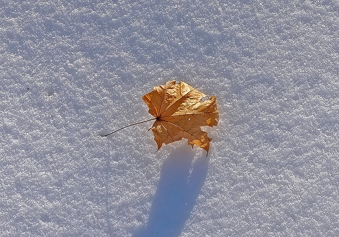 Лист из... осени. - Валентина  Нефёдова 