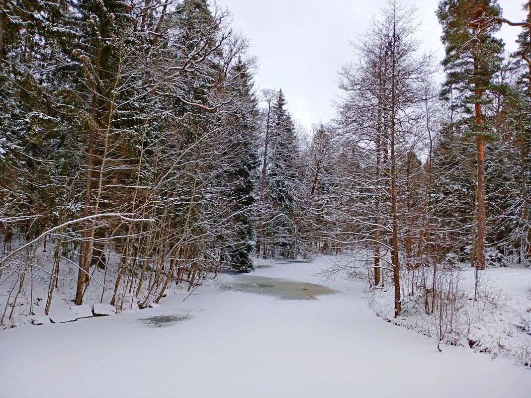 Лесная река - Лия ☼
