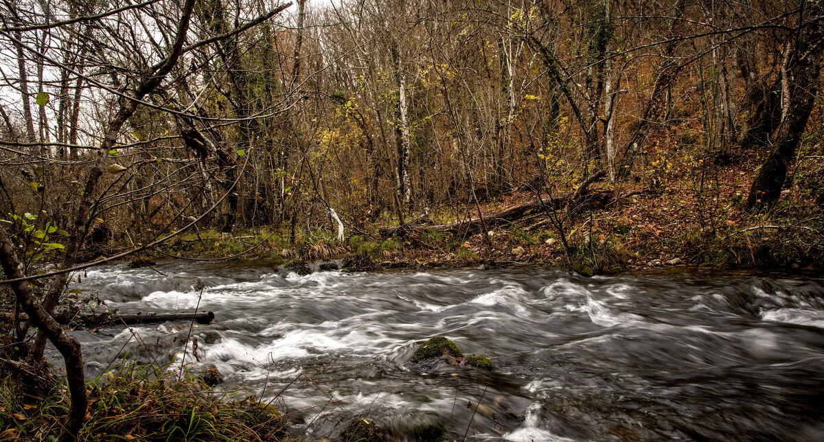 Речка Черная. - Сергей Воротников