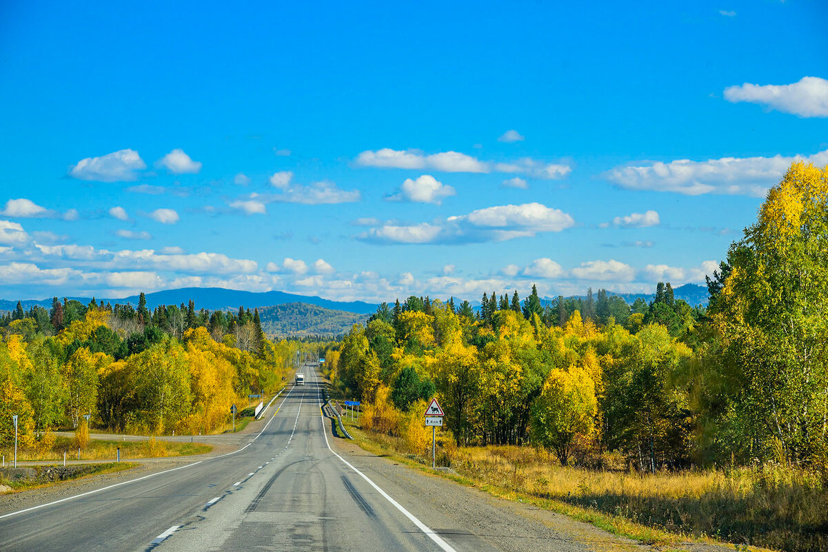 Дорога к Саянам. - юрий Амосов