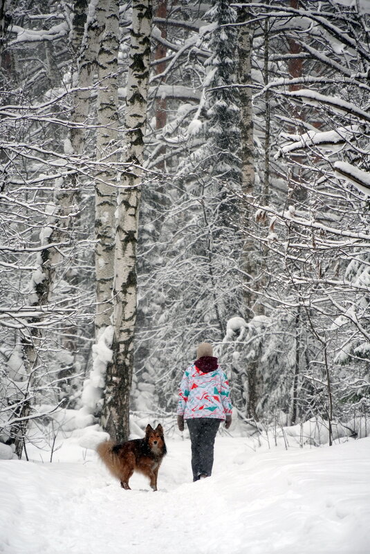 Не отставай! - Павел Трунцев