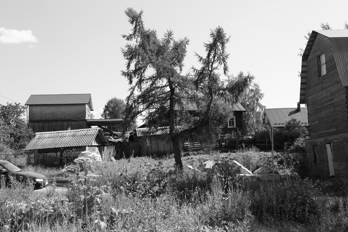 Фотография - Денис Безногов