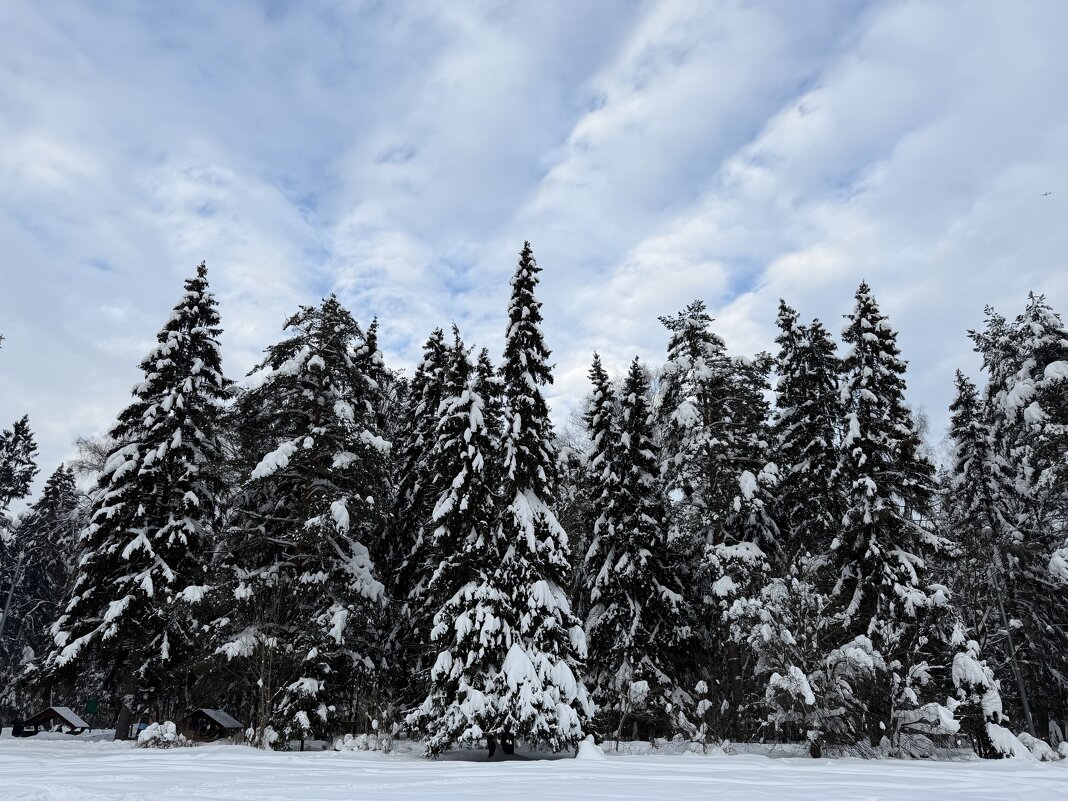 Заколдован невидимкой,  Дремлет лес под сказку сна… - Любовь 