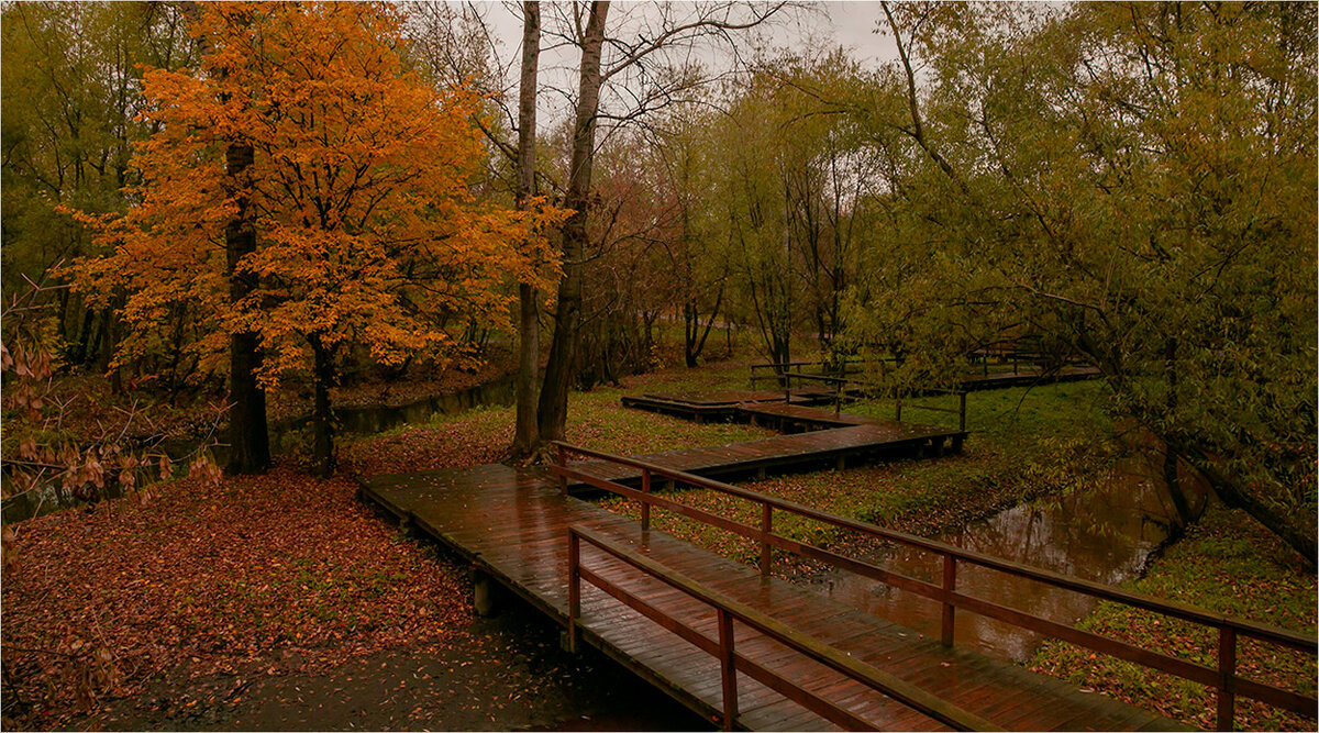 Осень. Парк "Яуза" - Ирина С
