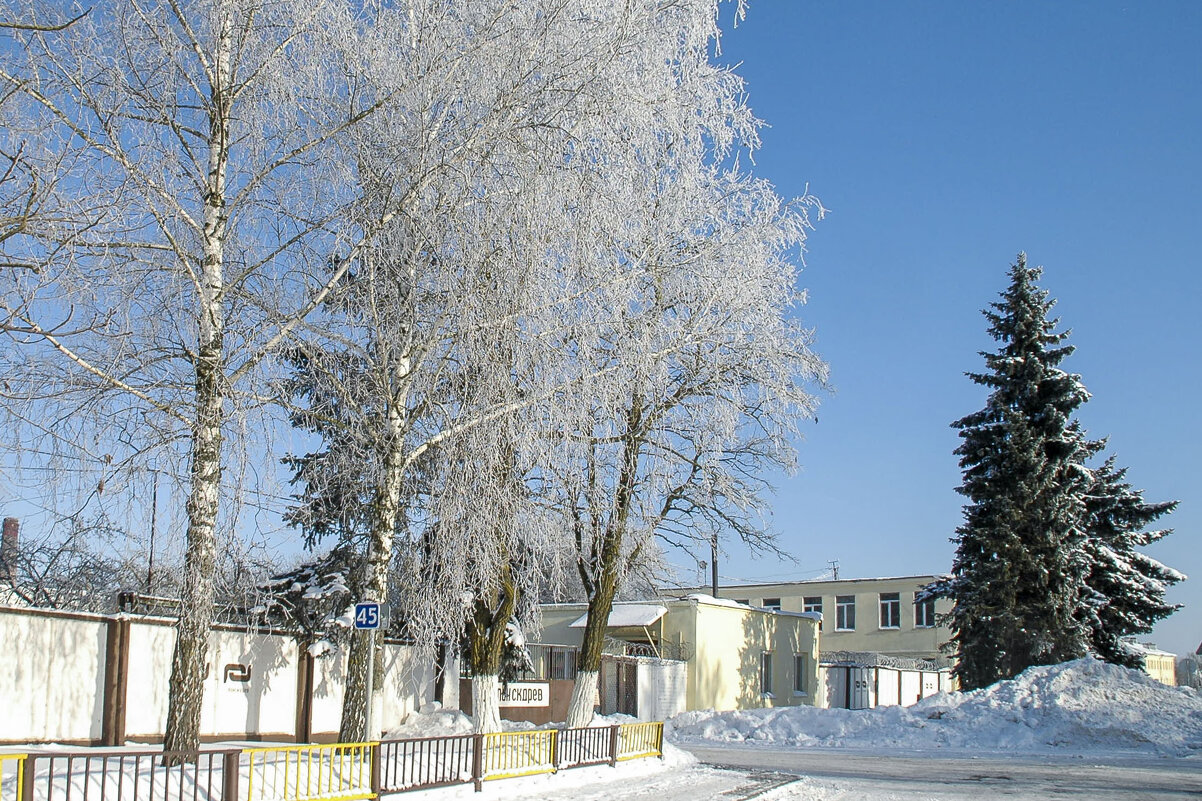 ... - Елена Пономарева