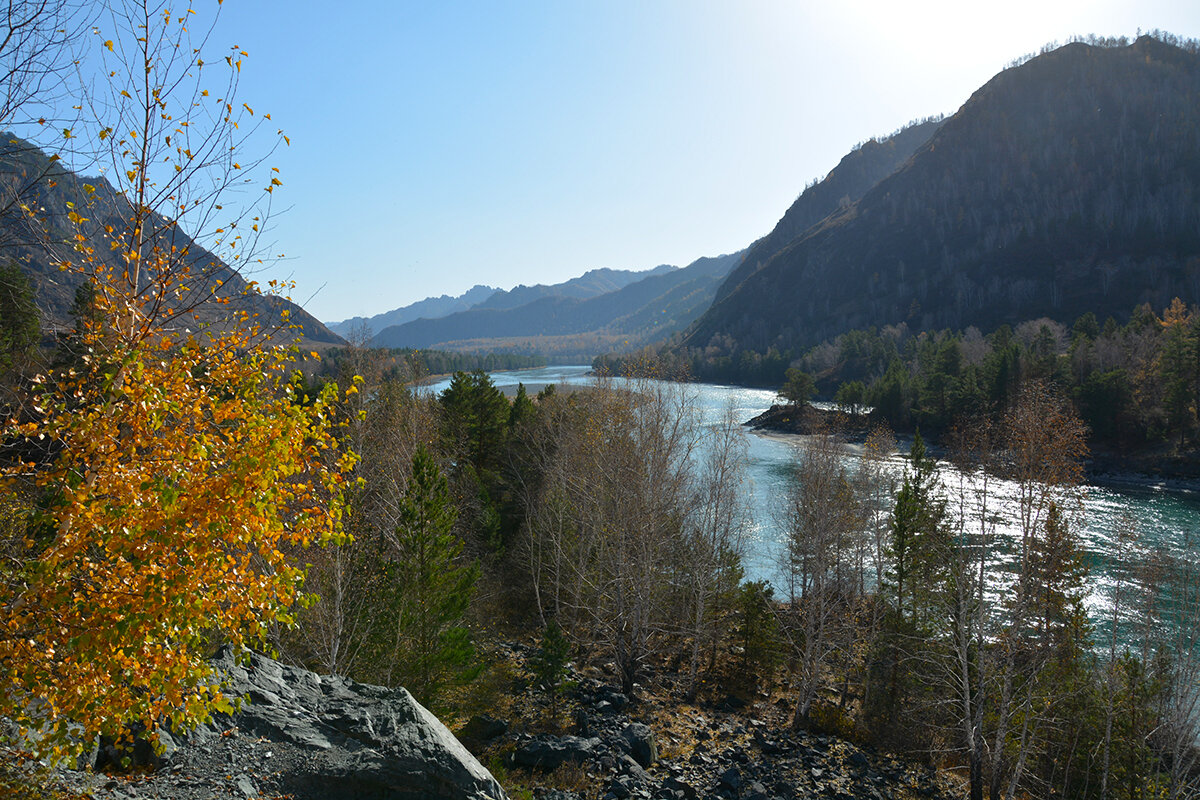 Катунь - Валерий Медведев