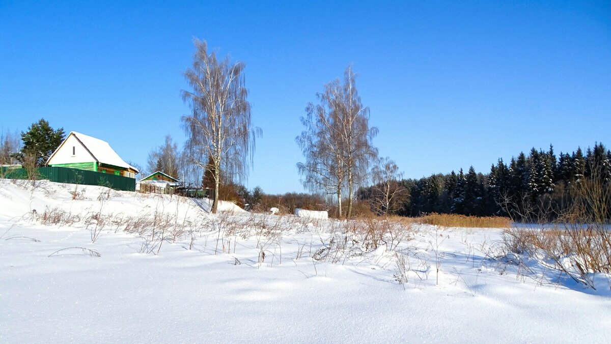 З ма в начале февраля. - Милешкин Владимир Алексеевич 