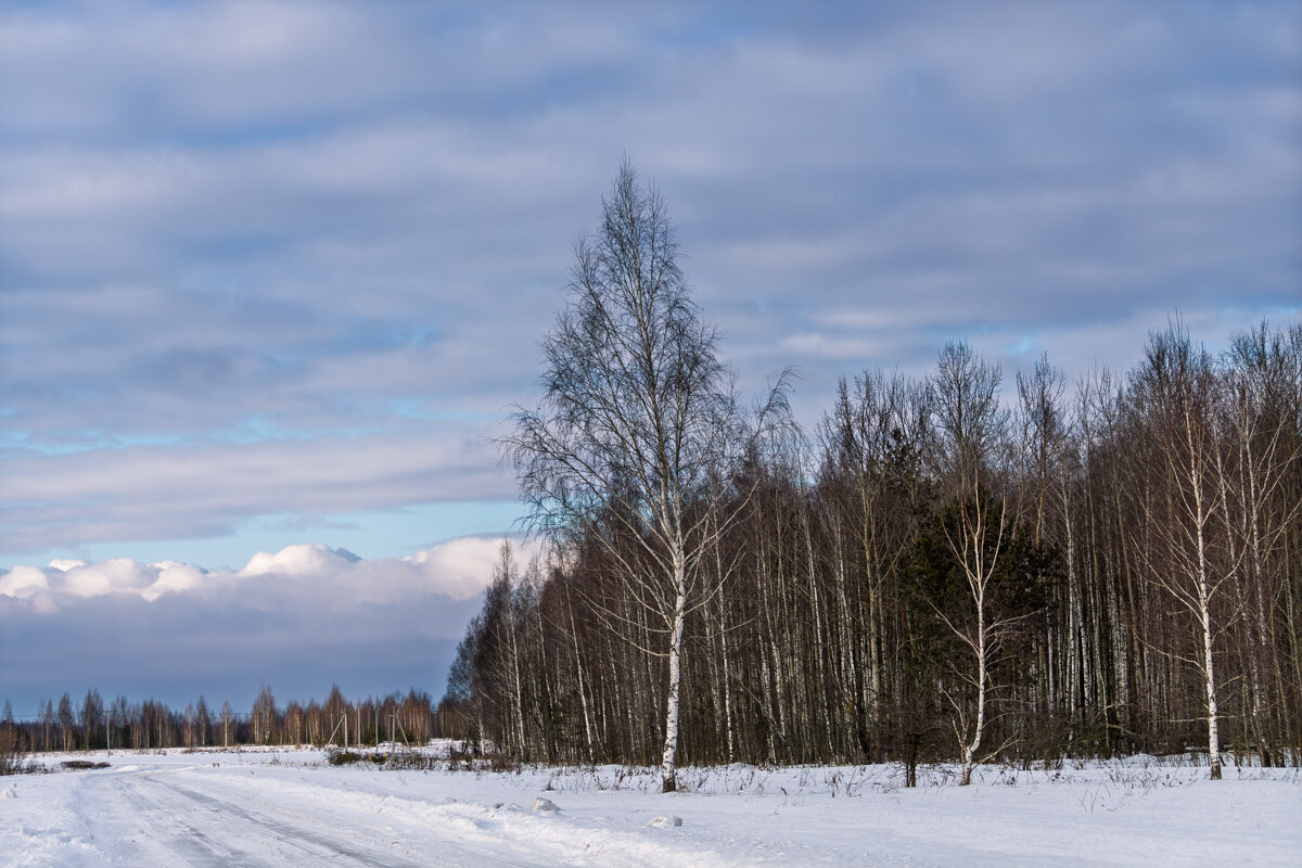 Можно и прогуляться, когда нет ветра и слабый мороз - Игорь Сикорский