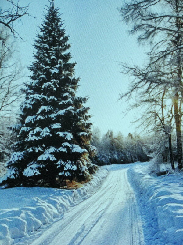 По зимней дороге - Людмила Смородинская