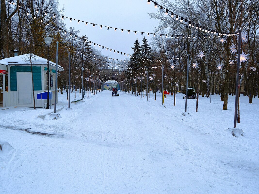 Ростов-на-Дону. Центральная аллея парка Октябрьской революции зимой. - Пётр Чернега