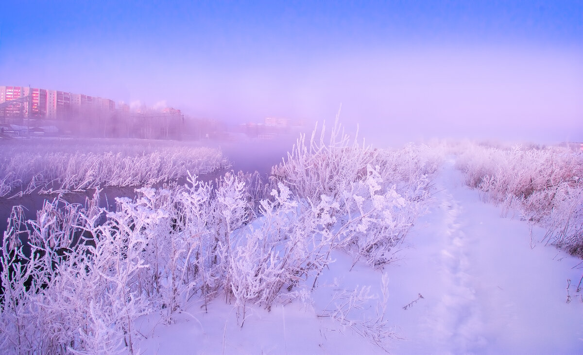 Морозное утро - Vladimbormotov 