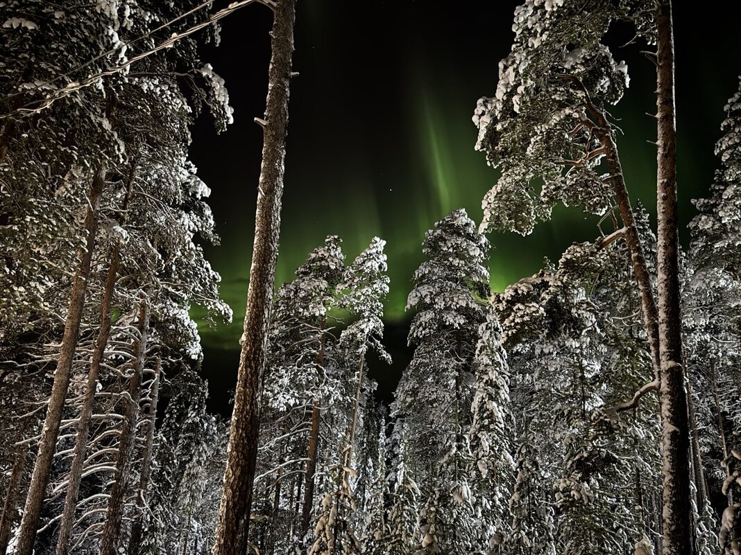 20 января. Вспышка. - tatiana 